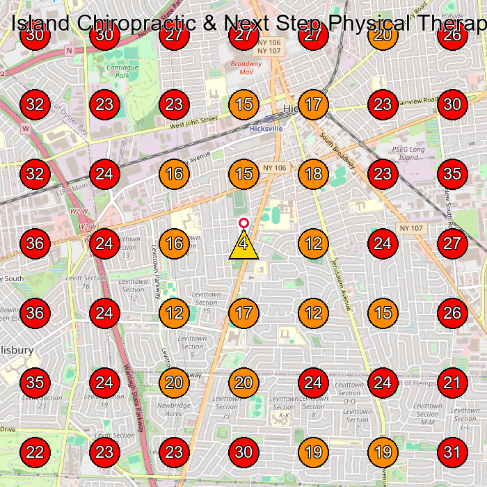 Island Chiropractic & Next Step Physical Therapy of Hicksville GeoGrid visibility map for Physical Therapy Clinic in Bethpage