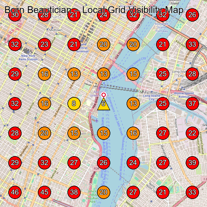 Born Beautician GeoGrid visibility map for Hair Salon in New York