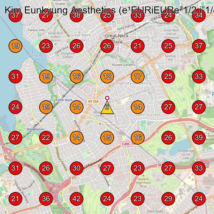 Kim Eunkyung Aesthetics (e¹EURiEURe²1/2 i”1/4e¶EURe¯¸is(c) i´e¦¬e‹‰) GeoGrid visibility map for Nail Salon in Great Neck