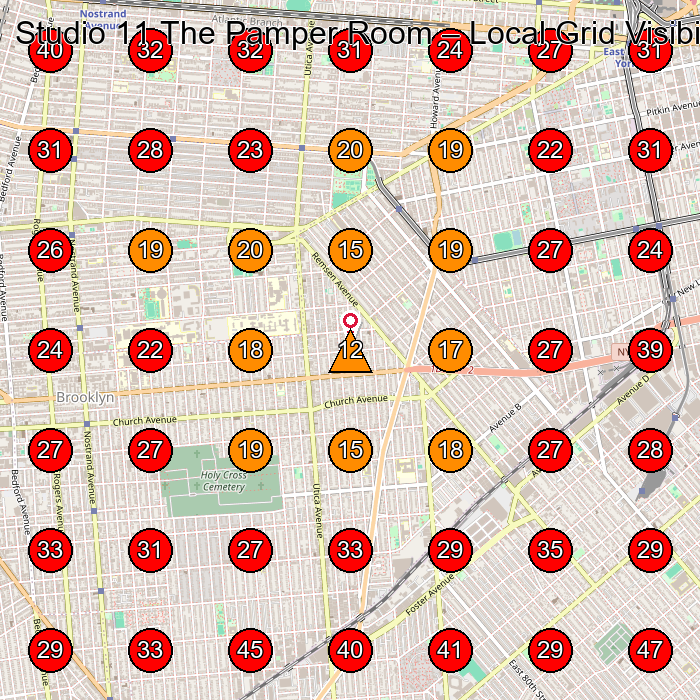 Studio 11 The Pamper Room GeoGrid visibility map for Hair Salon in Brooklyn