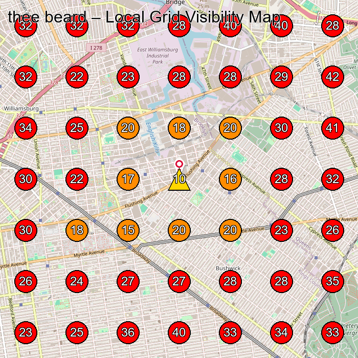 thee beard GeoGrid visibility map for Medical Spa in Brooklyn