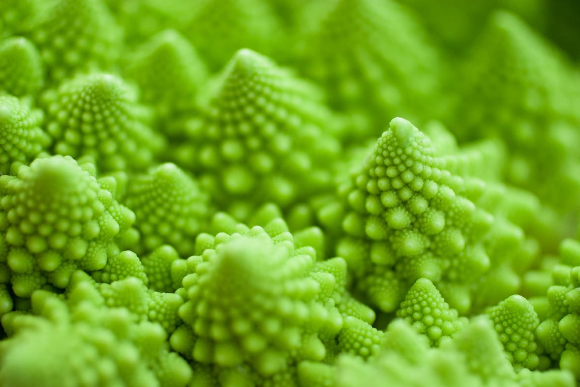 Romanesco broccoli fractal