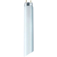 Osram Lysrr T8 36W/865 G13