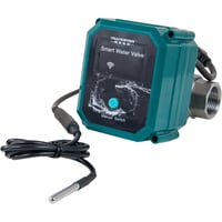 FrankEver Smart water valve DN25, 1