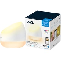 WiZ Squire WCA 13W Brbar Lampe WiFi