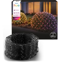 Philips Hue Festavia net 250LED 3m