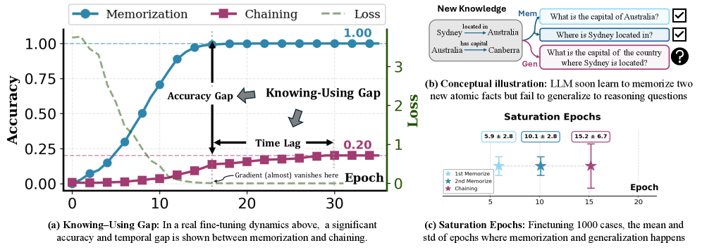 Towards Mechanistically Understanding Why Memorized Knowledge Fails to Generalize in Large Language Model Finetuning