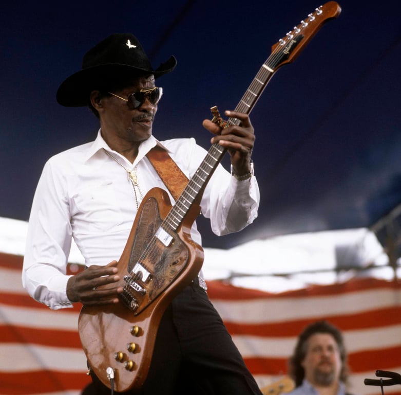 Clarence &ldquo;Gatemouth&rdquo; Brown performs onstage in New Orleans, Louisiana