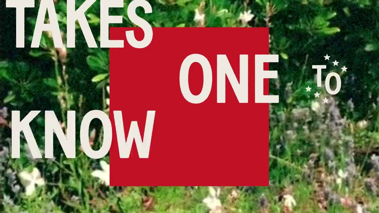 The Beaches - Takes One To Know One (Lyric Video) - YouTube