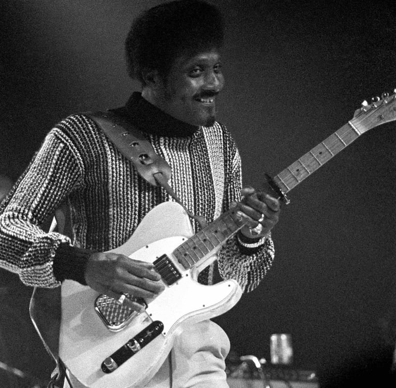 Albert Collins performs onstage