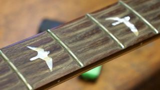 Dirt build up on a bass guitar fretboard