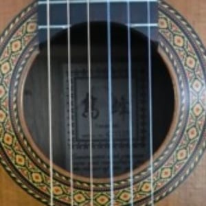Profile photo of Guytar