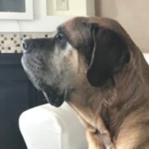 Profile photo of Grady