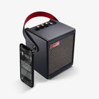 Positive Grid Spark Mini - $229/&pound;229