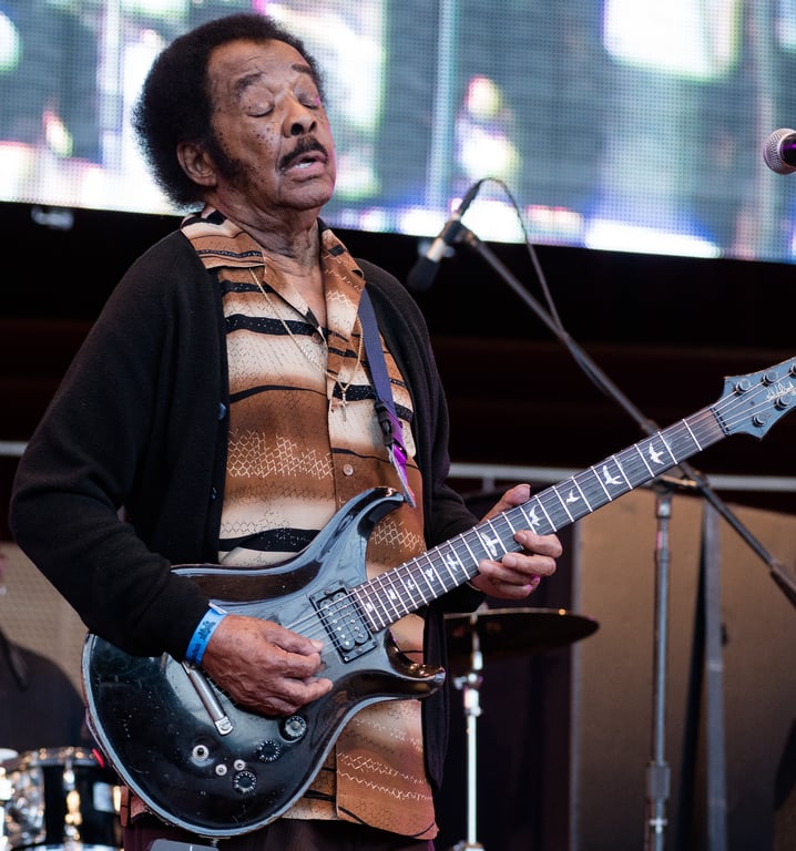 Jimmy Johnson performs onstage at the Chicago Blues Festival in Chicago, Illinois on June 7, 2019