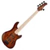 Cort GB-Fusion 5 Antique...