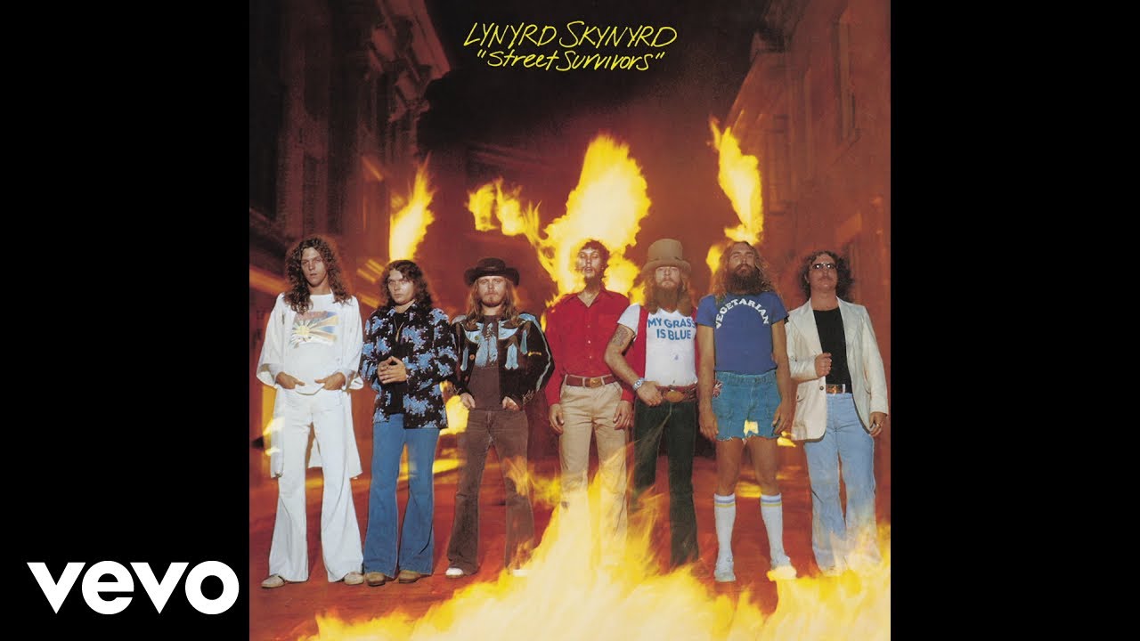 Lynyrd Skynyrd - You Got That Right (Audio) - YouTube