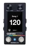 Walrus Audio Canvas Clock...