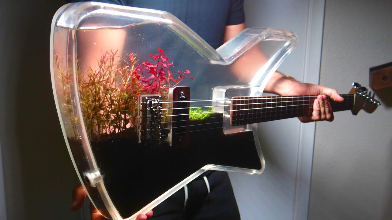 Building a Real, Functional Aquarium Guitar - YouTube