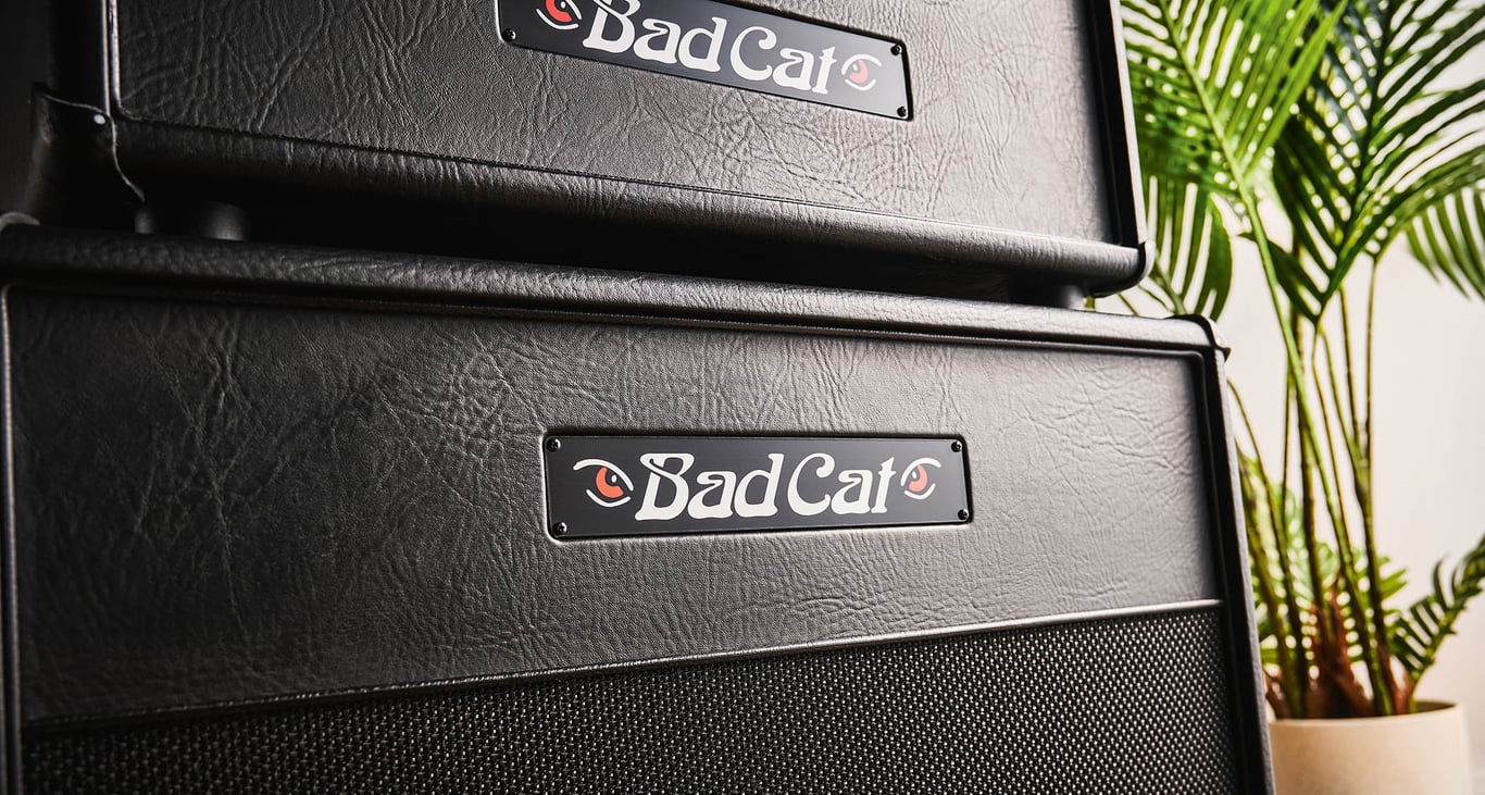 Bad Cat Era 30