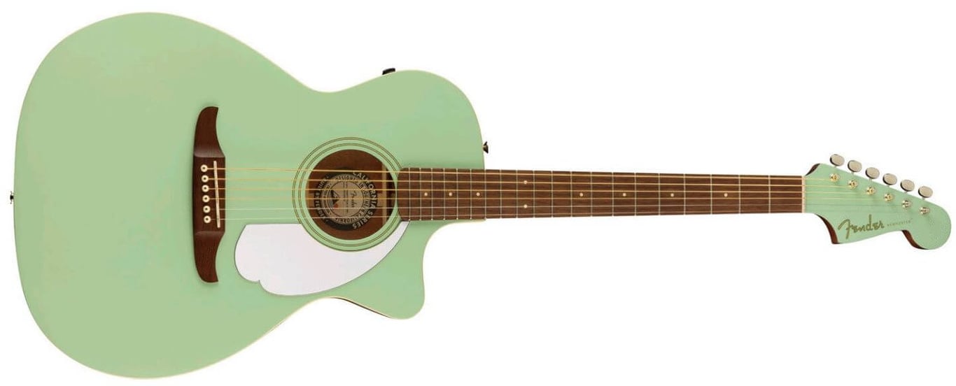 Fender Newporter Player