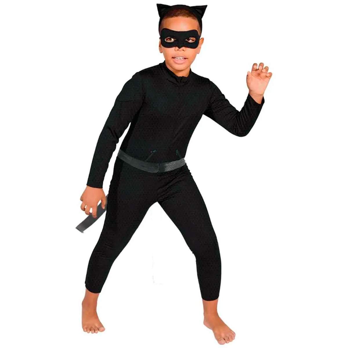 Fantasia Cat noir