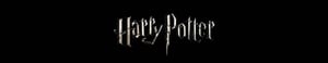 Fantasia Harry Potter