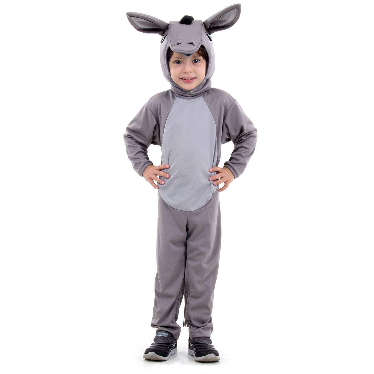 fantasia de burro