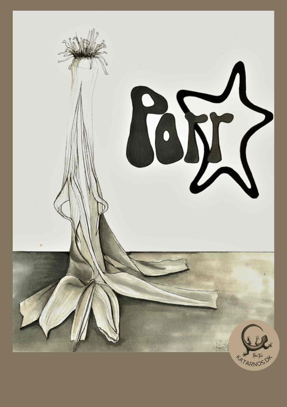 Porr* (A4 Kunstprint) - billede 1