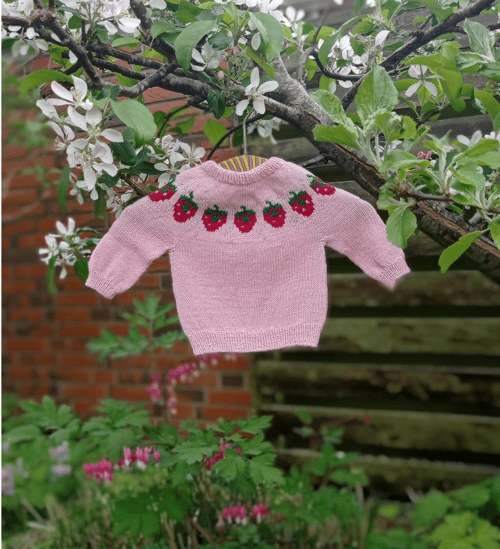 Jordbær Baby Sweater - DK fra Hoffknitting