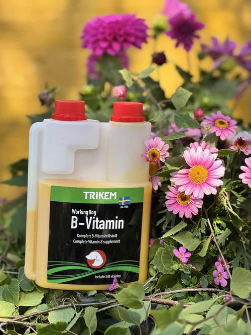 Trikem B-Vitamin 500 ml  fra Bornholms Hundecenter