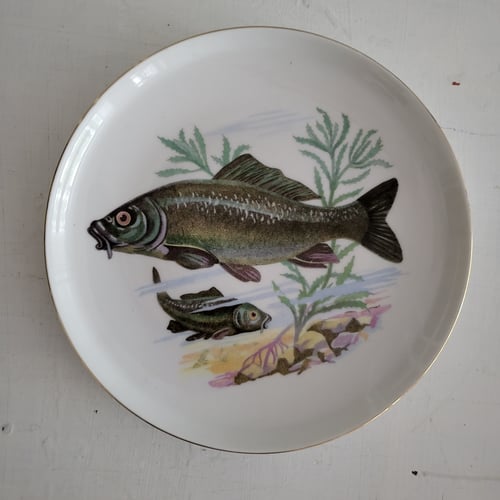 Colditz Fisketallerken nr. 46