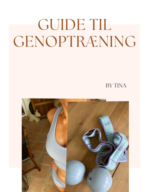 GIVE AWAY! Guide til Genoptræning fra Ejendomsselskabet Jull Jørgensen ApS