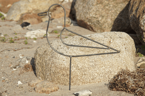 Måge fra Jacks Jernhave