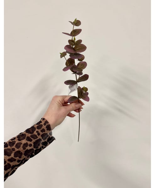 Eucalyptus rød fra Stine’s Blomster