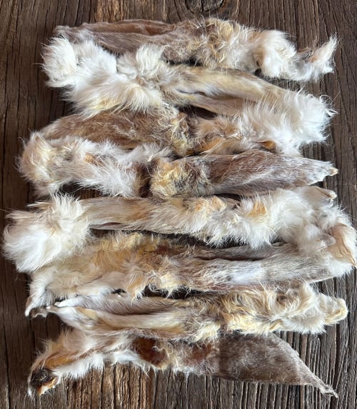 Kaninøre 100 gram. fra Delecti