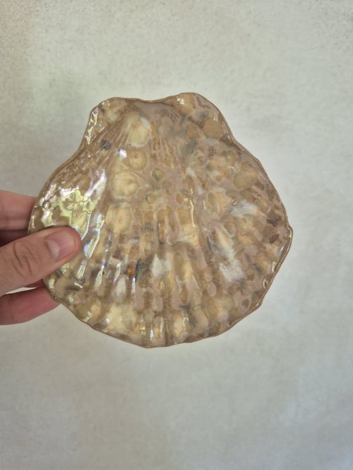 Musling brun fra En strandet hval