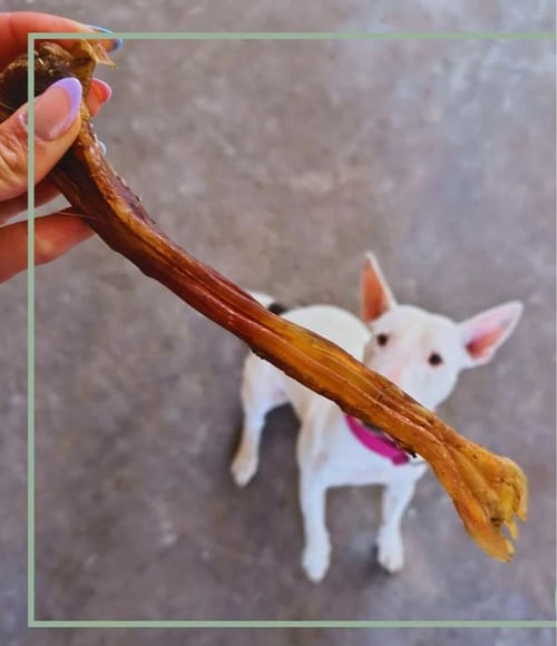 Tørret bøffelsener. Allagivenlig snacks  fra Doggydeli 