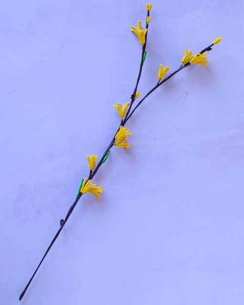 Forsythia fra By Maria Silje