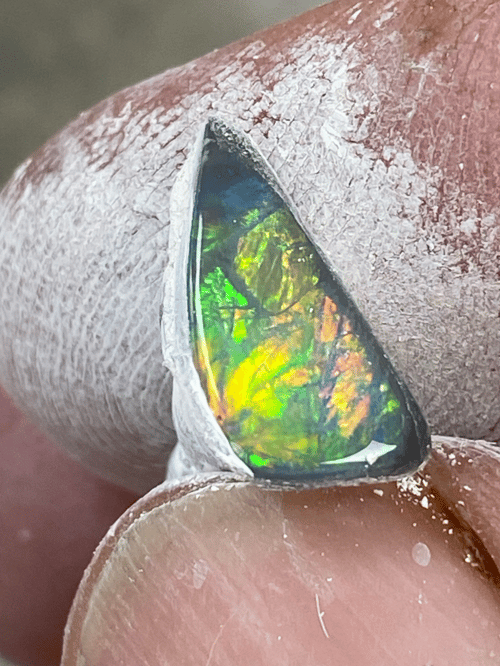 You win some you lose some fra Bjergsø