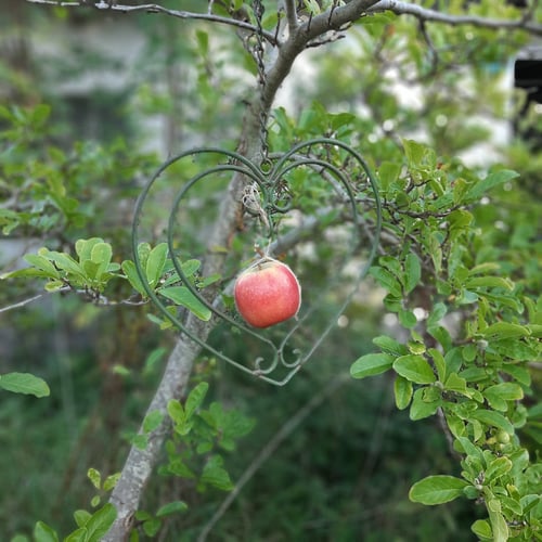 Hjerte-ophæng med krog fra Villa Lovina