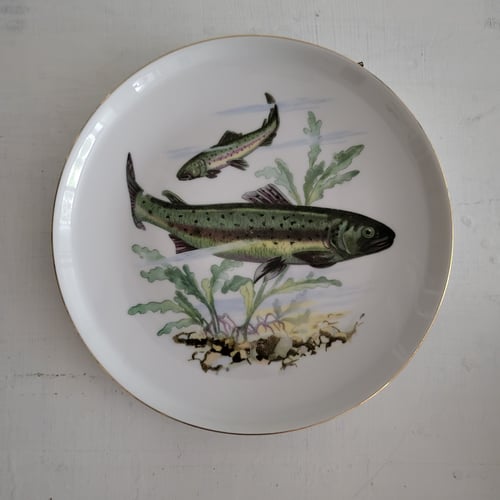 Colditz Fisketallerken nr. 72