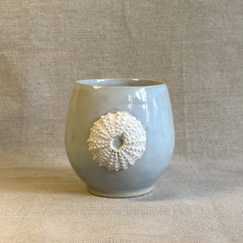 Ocean Søpindsvinkop, lyseblå