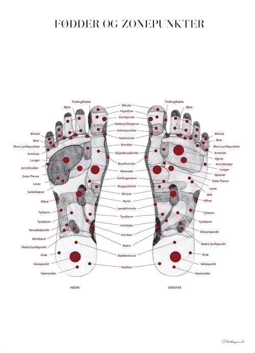 Fødder og Zonepunkter - A3 & B2 (50x70) fra PlakatDesigneren / RosenkrantzGrafisk