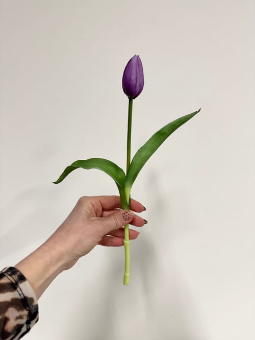 Tulipan  fra Stine’s Blomster