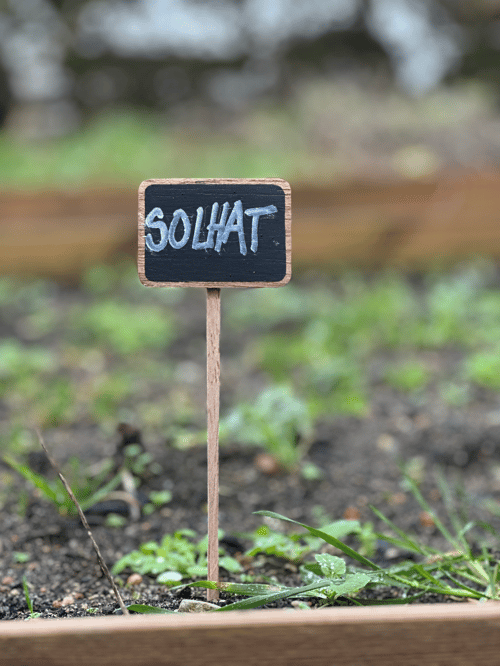 Planteskilt, stort fra www.blossomseed.dk