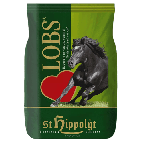 LOBS fra Thy Horses