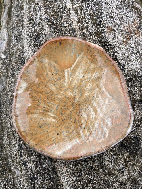 Smykkeskål. D: 9,5 cm fra Clay By Hornstrup