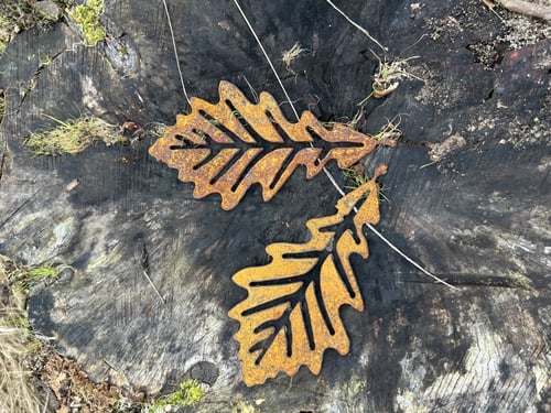 stål blad fra Havezone.dk