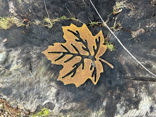 stål blad  fra Havezone.dk